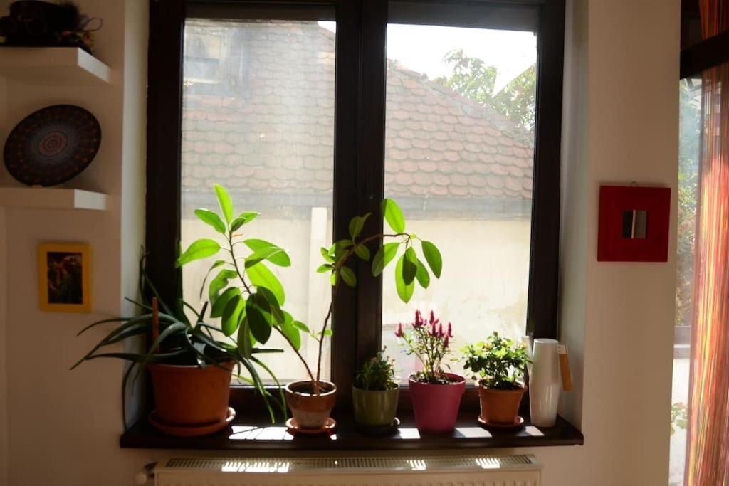 Old Town Bohemian With Garden View Balcony