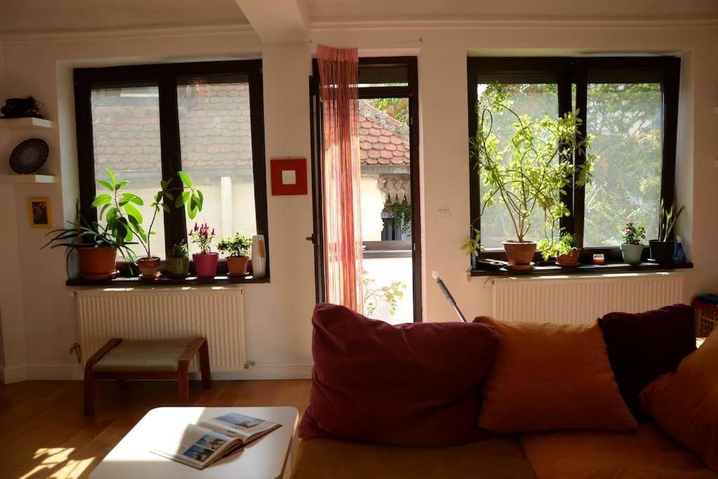 Apartment Old Town Bohemian With Garden View Balcony Bucharest